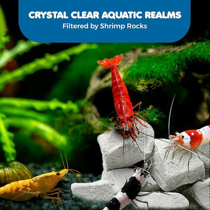 SunGrow Shrimp Rocks for Aquarium, 4-oz. Calcium Stones for Freshwater Aquarium - Image 5