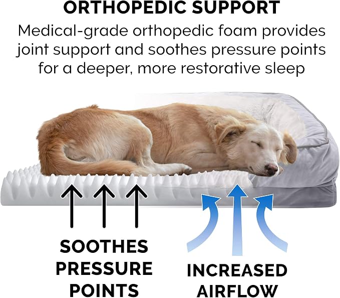 Furhaven Orthopedic Dog Bed for Medium/Small Dogs w/ Removable Bolsters & - Image 5