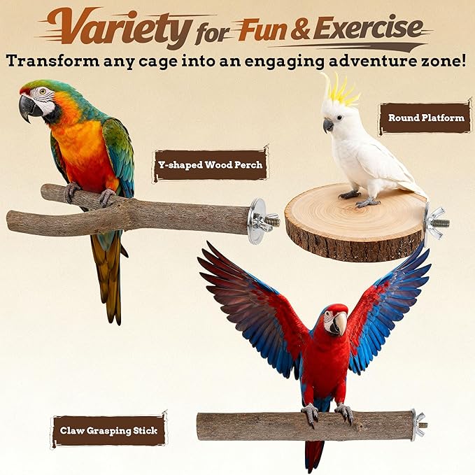 6 PCS Bird Perch Set, Natural Birch Wood Straight & Forked Perches - Image 5