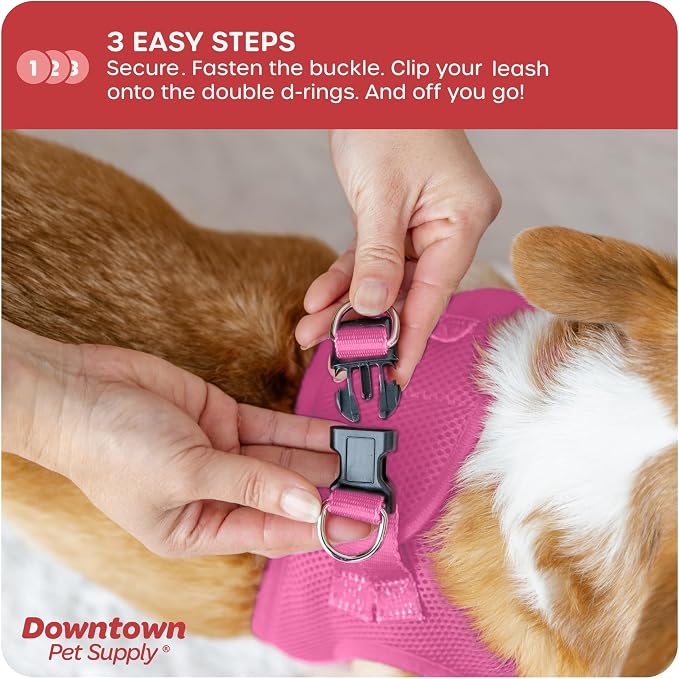 Downtown Pet Supply Step-in Dog Harness – No Pull, Adjustable Padded Mesh - Image 5