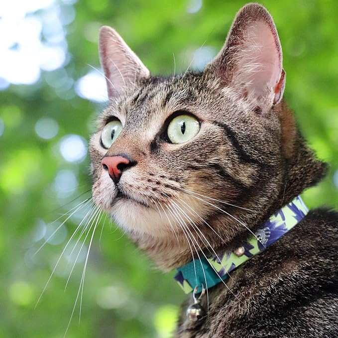 Kittyrama Botanicals Lotus Cat Collar. Award Winning. Hypoallergenic, Quick - Image 4