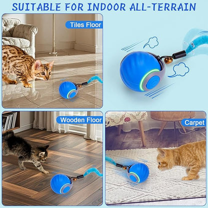 BABORUI Interactive Cat Toy Ball - Image 6
