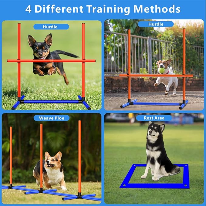 Dog Agility Training Jumping Hoop - Image 2