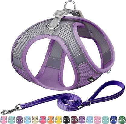 AIITLE Dog Harness, No-Pull Cat Harness by AIITLE-FORPETSBETTERLIFE