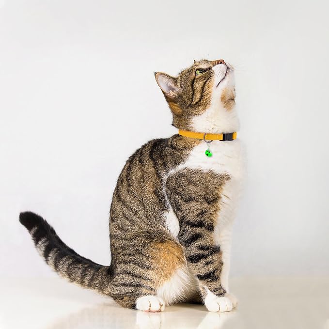 Breakaway Cat Collar with Bell - Image 6