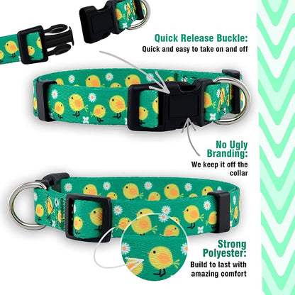 Native Pup Easter Dog Collar, Cute Spring Gift - Image 4