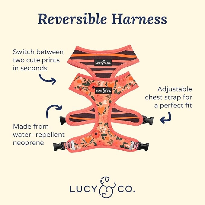Lucy & Co. Reversible Dog Harness Walking Halter - Image 2