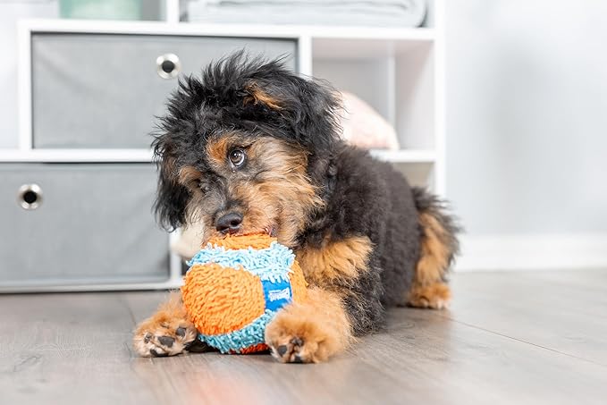 Chuckit! Indoor Fetch Ball Dog Toy - Image 2