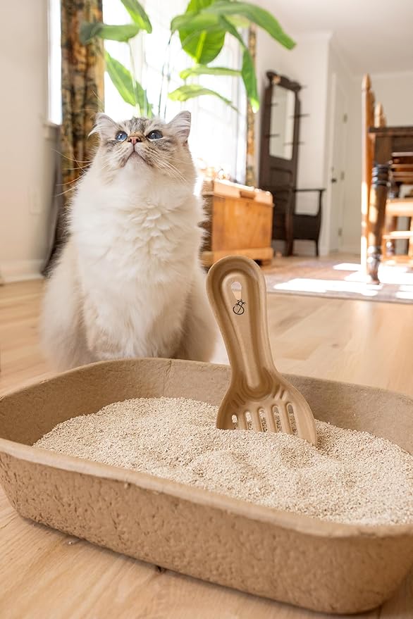 Disposable Cat & Rabbit Litter Scoops - Image 4