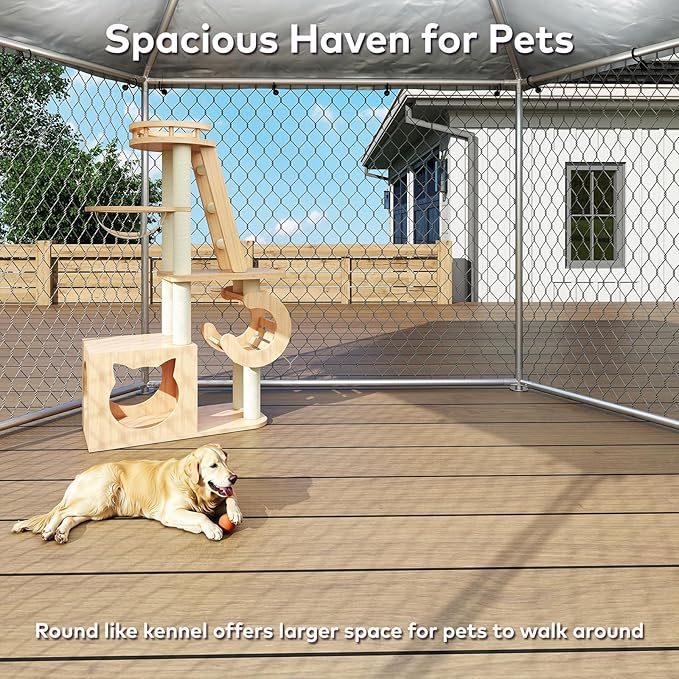 12x12 Outdoor Dog Kennel Outside Heavy Duty Dog Enclosure - Image 7