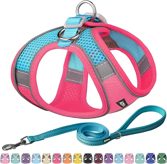 AIITLE No Pull Dog Harness and Leash Set, Step in Adjustable Dog Harness by AIITLE-FORPETSBETTERLIFE