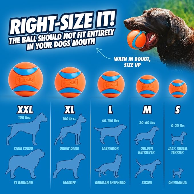 Chuckit! Ultra Ball Dog Toy - Image 6