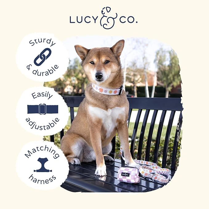 Lucy & Co. Ballet Bows Dog Collar - Image 3