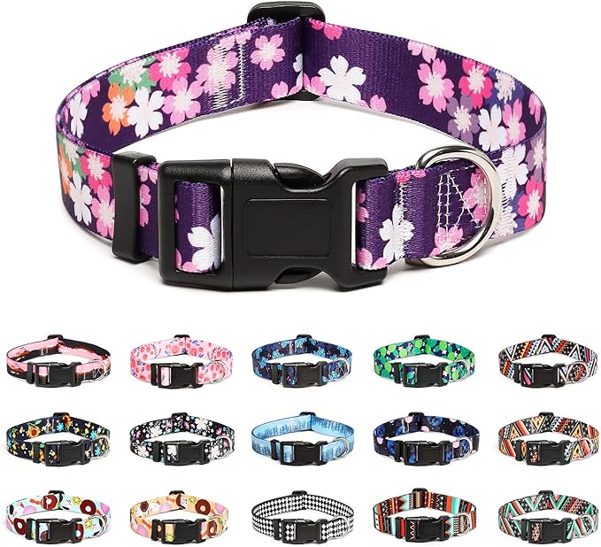 Mercano Adjustable Dog Collar by Unknown