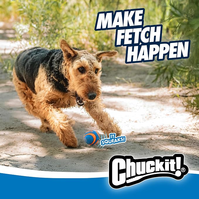 Chuckit! Ultra Squeaker Balls for Dogs, Floating Water Pet Toys, Durable Rubber - Image 7