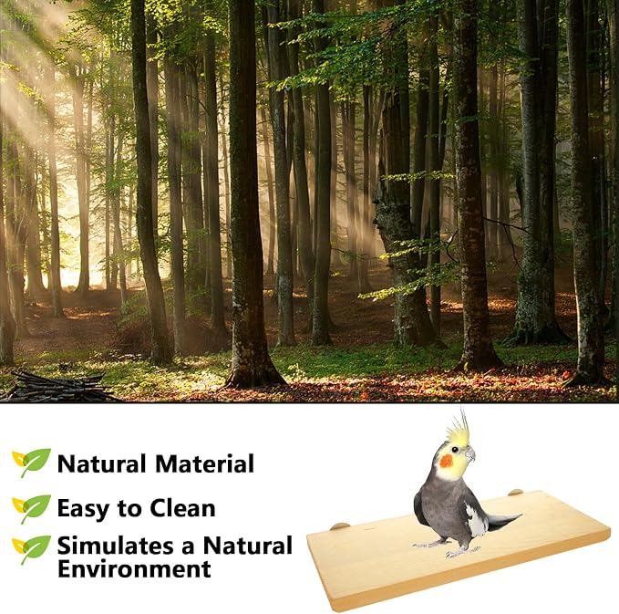 4 Pack 5 x 12 Inches Bird Perches - Image 4