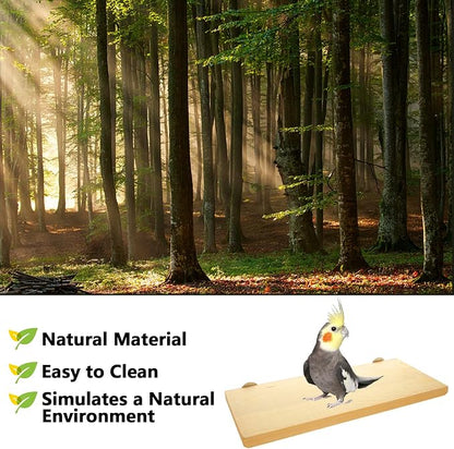 4 Pack 5 x 12 Inches Bird Perches - Image 4