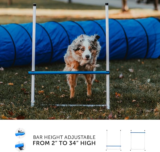 Better Sporting Dogs Complete Starter Agility Set - Image 3