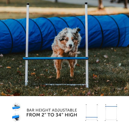 Better Sporting Dogs Complete Starter Agility Set - Image 3