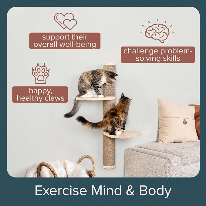 Cat Climbing Wall System – Modern Floating Shelves & Perches - Image 6