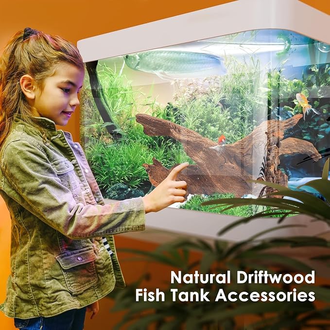 Jorewood Natural Large Aquarium Driftwood - Image 4