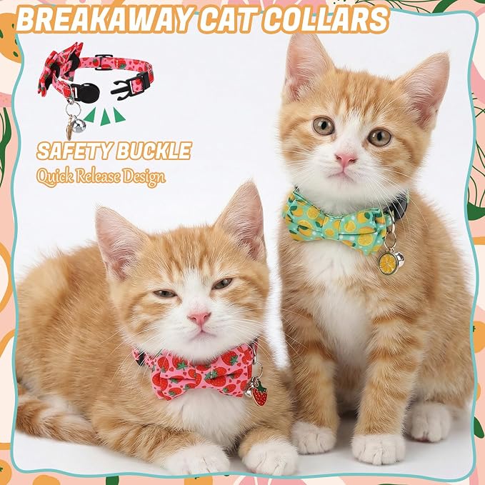 6 Pack Breakaway Cat Collars - Image 4