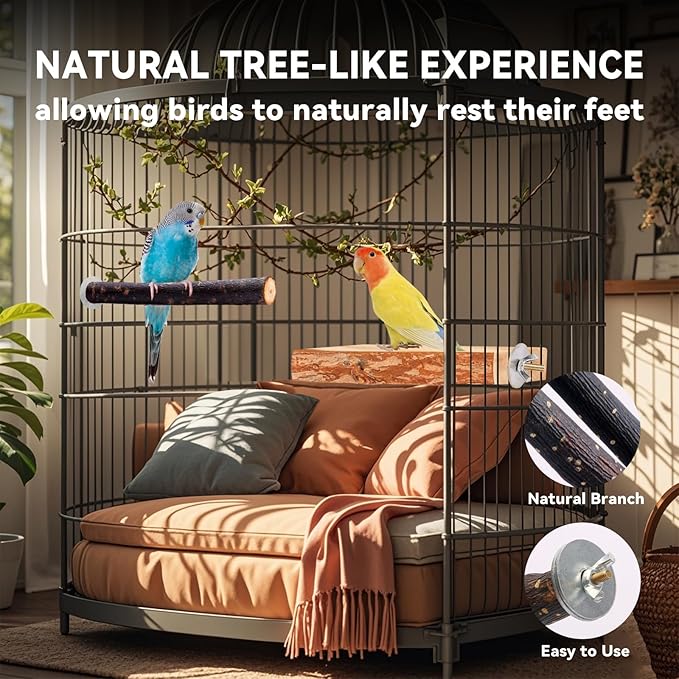 Bird Toys Parakeet Perch Budgie Perch Wood Stand Fork Toys Multi-Branch Perch - Image 5