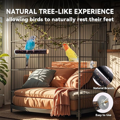 Bird Toys Parakeet Perch Budgie Perch Wood Stand Fork Toys Multi-Branch Perch - Image 5