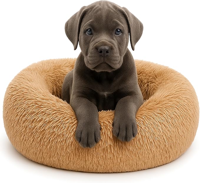 Calming Dog Bed by Shiny-V