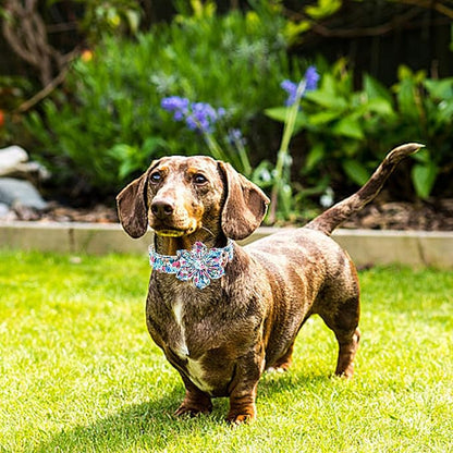 Lionheart Glory Floral Dog Collar - Image 5
