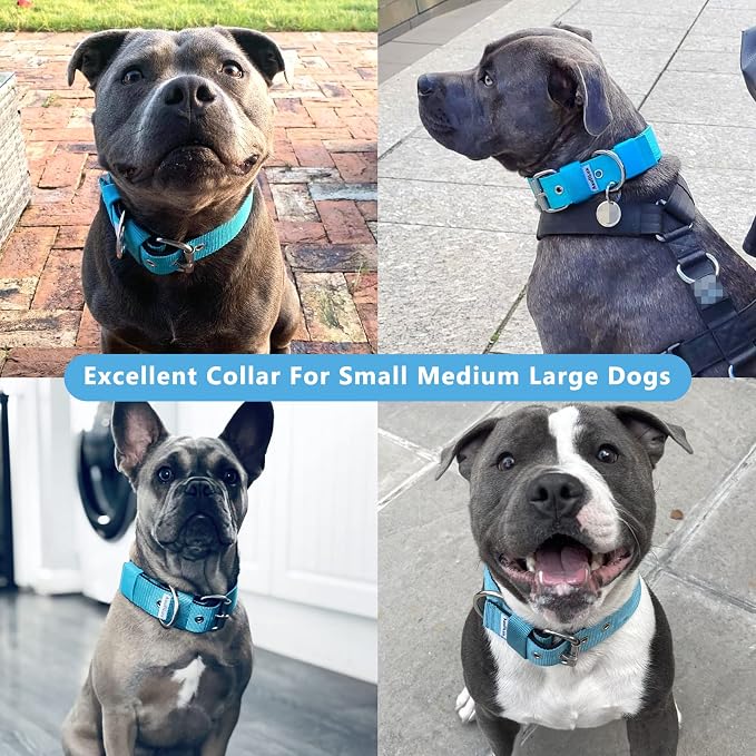 Heavy Duty Tactical Dog Collar - Image 2
