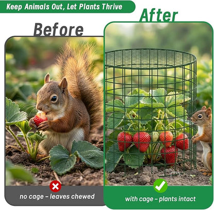 Convivium Plant Protectors from Animals 6 Packs, 13 x 12 in Metal Chicken Wire - Image 5