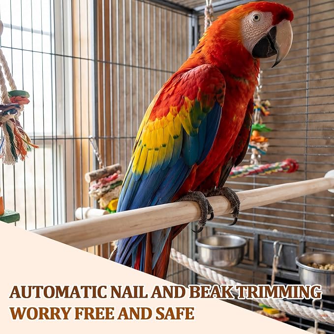 Sintuff 8 Pcs Bird Perches for Cage Accessories, Wooden Perch Rods Replacement - Image 5