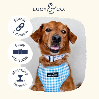 Lucy & Co. Dog Collar - Image 6