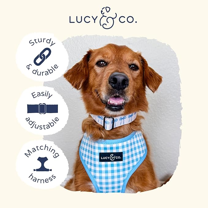Lucy & Co. Dog Collar - Image 5