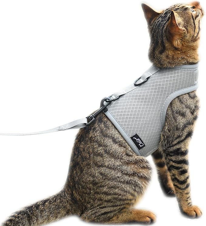 Cat Harness and Leash for Walking Escape Proof Breathable Mesh Fabric, Solid by Yizhi+Miaow