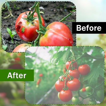 3 Pcs Round Tomato Cage Bird Netting Plant Cover, Trellis Plants - Image 5