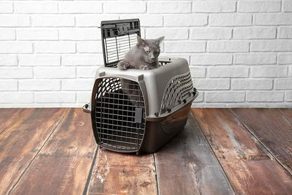 Petmate Dog Crates for Small Dogs & Cat Carriers, Two-Door Plastic Pet Kennel - Image 5