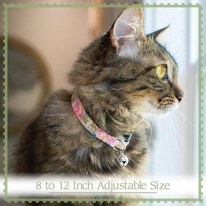 Country Brook Petz - Image 2