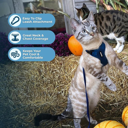 Voyager Escape-Proof Step-in Lock Cat Harness & 5ft Neoprene-Handle Leash Set - Image 5
