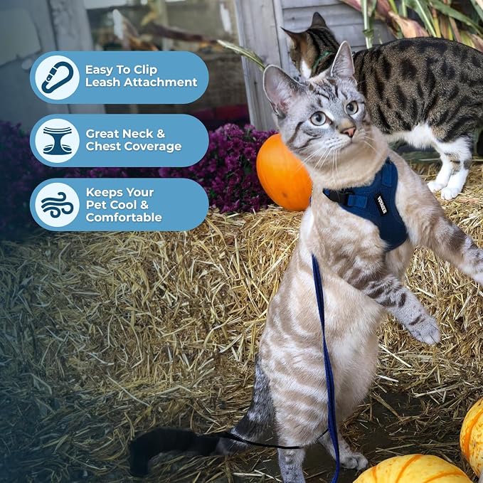 Voyager Escape-Proof Step-in Lock Cat Harness & 5ft Neoprene-Handle Leash Set - Image 5
