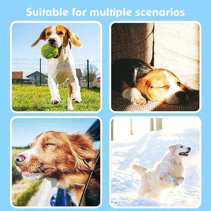 2-in-1 GPS Tracker for Dogs: Smart Collar - Image 8