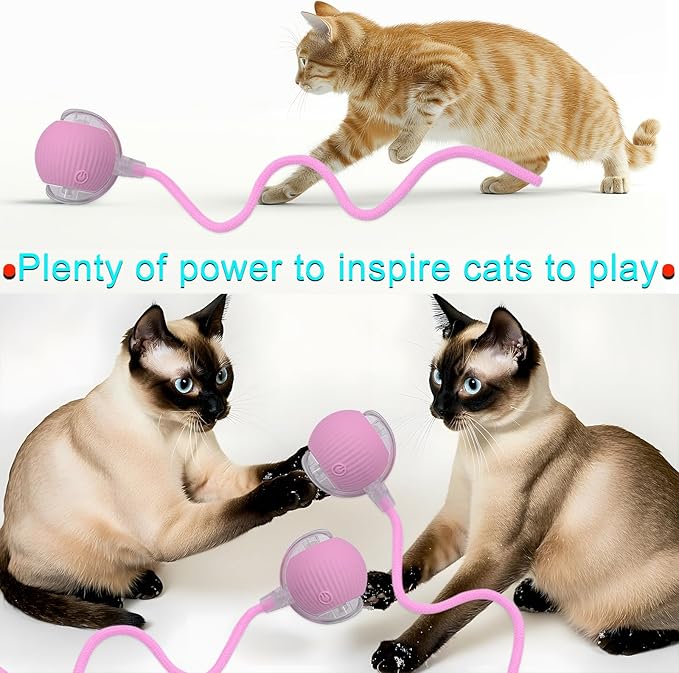 Interactive Cat Dog Toy Ball: Indoor Small Automatic Moving Smart Rolling Fun - Image 6