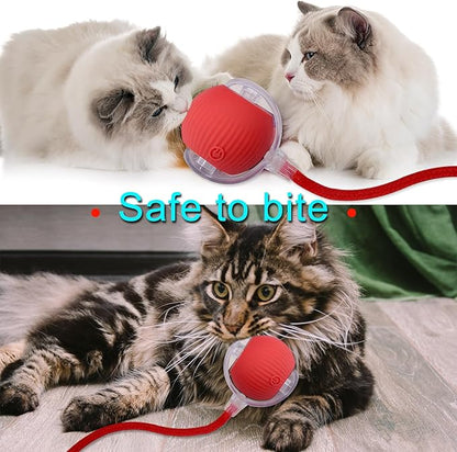 Interactive Cat Dog Toy Ball: Indoor Small Automatic Moving Smart Rolling Fun - Image 6