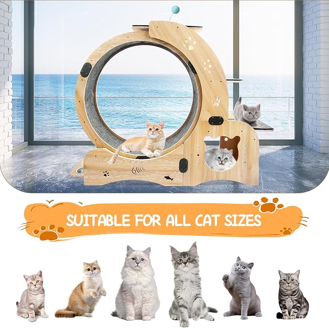 6-in-1 Cat Exercise Wheel - Image 8