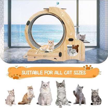 6-in-1 Cat Exercise Wheel - Image 8