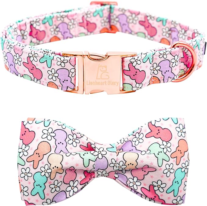 Lionheart Glory X-Small Dog & Rabbit Collar by LionheartGlory