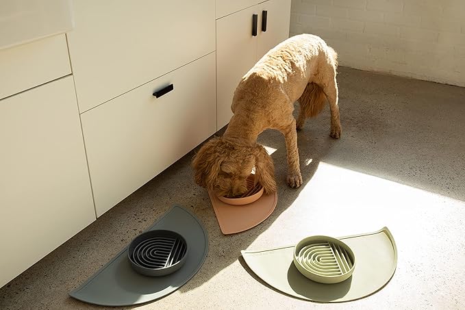 Should We Go - Waterproof Silicone Pet Food Mat - Non-Slip, Spill-Proof Feeding - Image 8