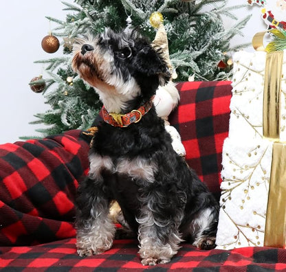 Unique style paws Dog Collar Metal Buckle Puppy Collar - Image 3
