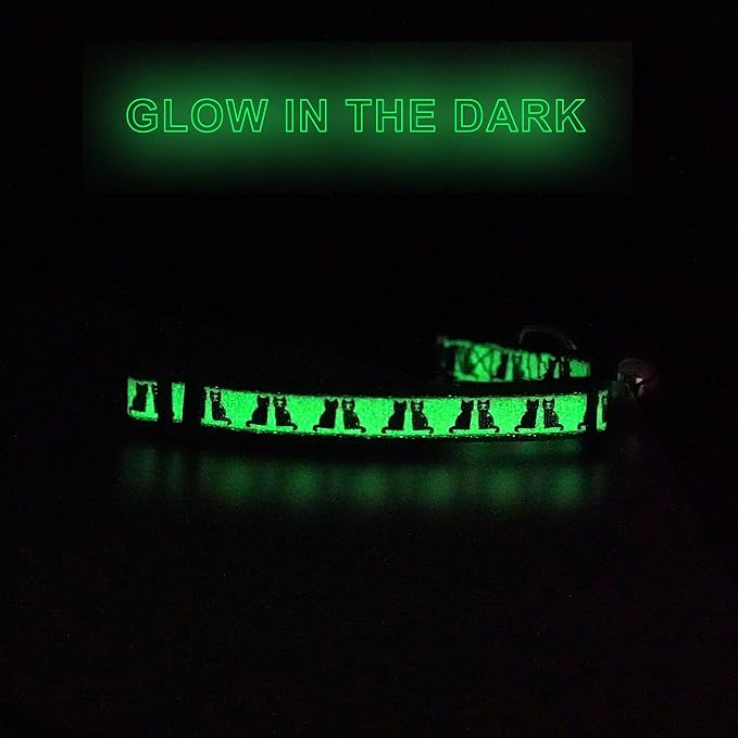 Pawtitas Glow in The Dark Cat Collar - Image 8